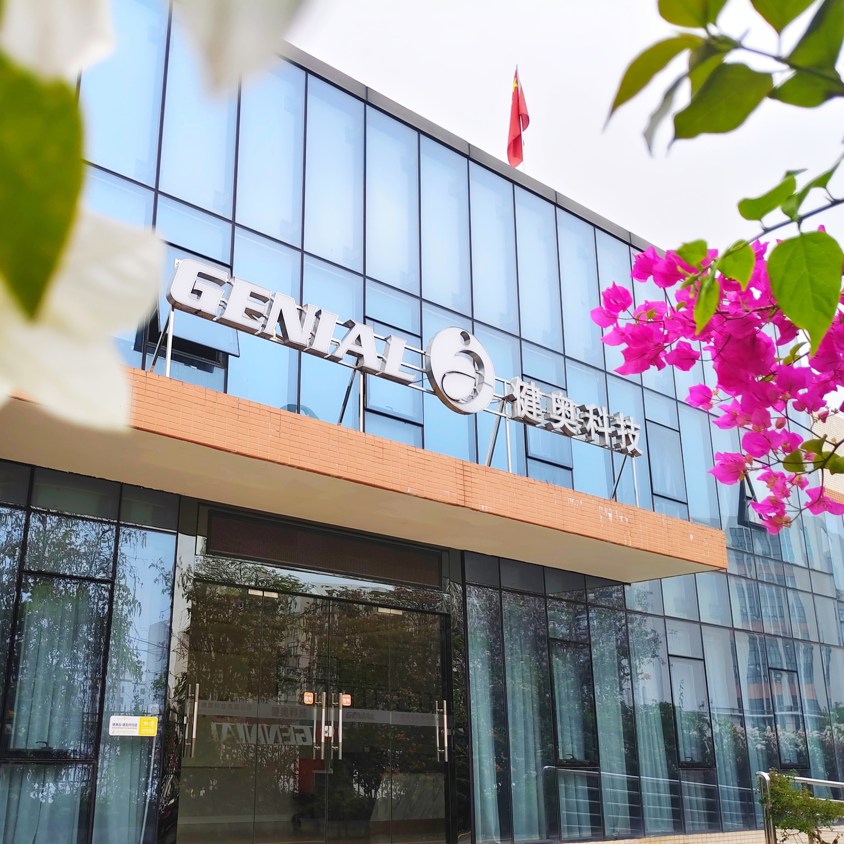 春风拂面，繁花盛开